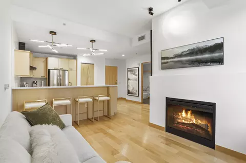 309 W Washington Ave #207, Madison, WI 53703