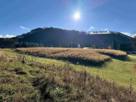 Willenberg Road, De Soto, WI 54624