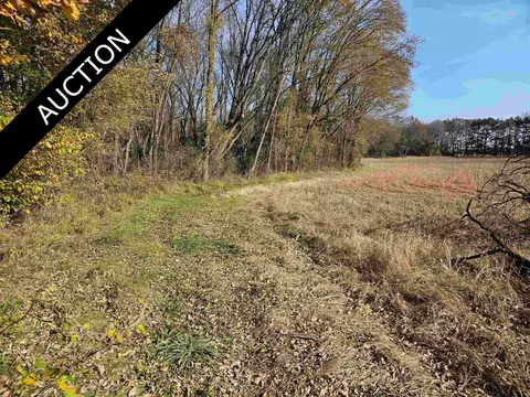 40 Acres Willow St, Arena, WI 53503