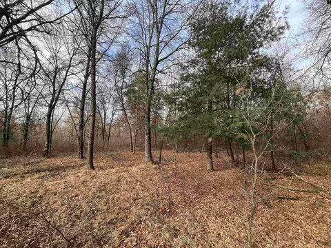 7 49 Acres County Road G, Necedah, WI 54646