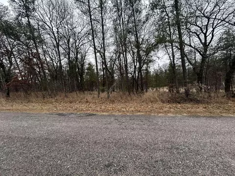 40 Acres Deerborn Ave, Adams, WI 53910