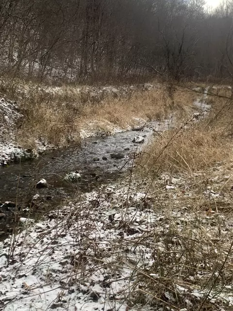 e8405 Wisconsin 56, Viroqua, WI 54665