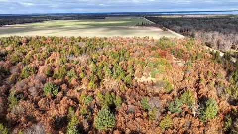 9 95 Acres 16th Ave, Necedah, WI 54646