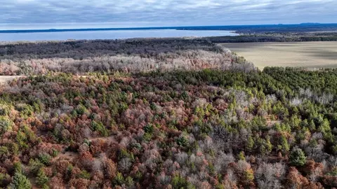 9 94 Acres 16th Ave, Necedah, WI 54646
