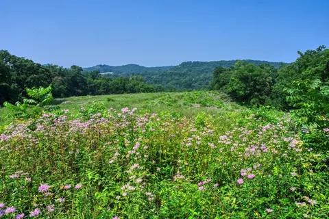 165 Acres Miess Rd, Dodgeville, WI 53533