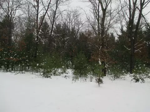 w5574 Elk Lane, Montello, WI 53949
