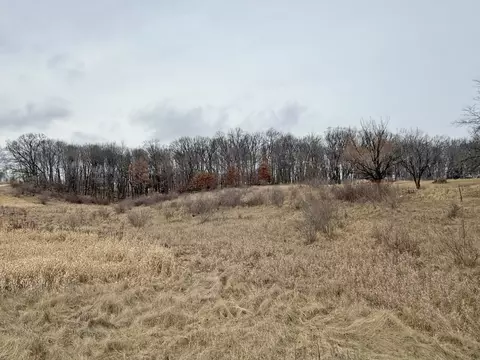 L135 Staghorn Black Forest Drive, La Valle, WI 53941