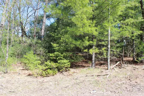 lot S 20-21 Leona St, Friendship, WI 53934