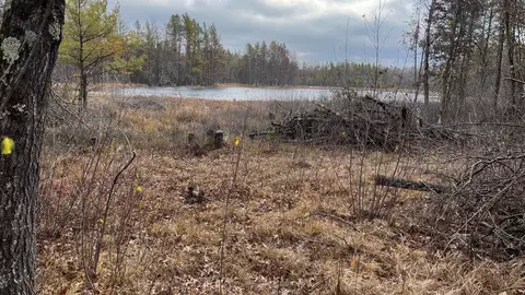 0 Bauer Rd, Black River Falls, WI 54615