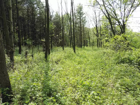 0 Thunder Hills Rd, Lodi, WI 53555
