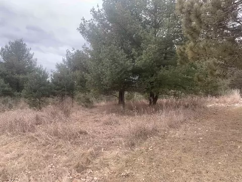 lot S 730 731 Dutch Hollow Mound Ct, La Valle, WI 53941
