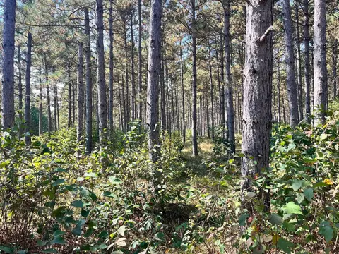 57 71 Ac Adams Ave, Nekoosa, WI 54457