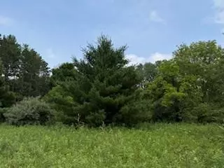 lot4 Church St, Merrimac, WI 53561