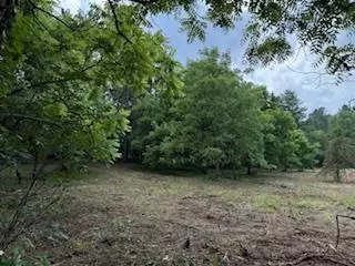 lot2 Church St, Merrimac, WI 53561