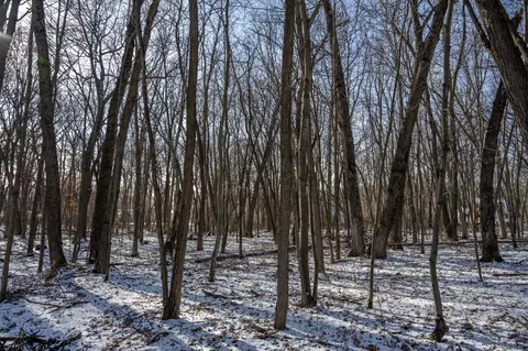 lot10 Oak Hill Ests E, Mauston, WI 53948