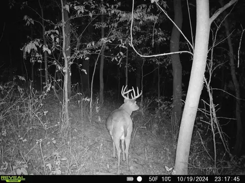 tbd Clark Rd, Browntown, WI 53522