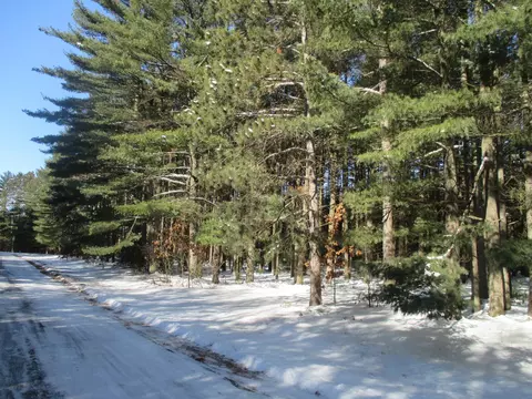 2 Ac Elk Dr, Westfield, WI 53964