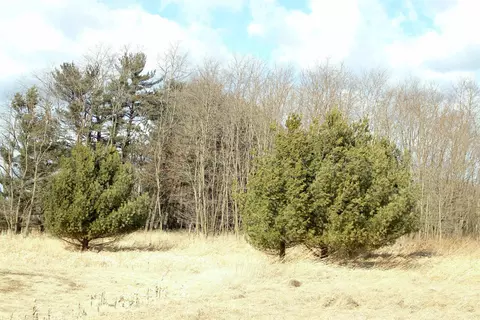w7530 38th Street, New Lisbon, WI 53950
