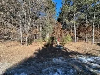w3152 Yellow Banks Trail, Nekoosa, WI 54457