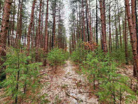 Nhn Phylane Road, Lone Rock, WI 53556