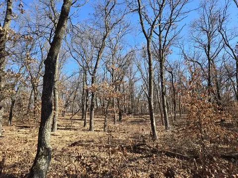 4 Acres Aspen Dr, Hancock, WI 54943