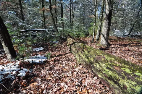 3 95ac County Road Z, Arkdale, WI 54613