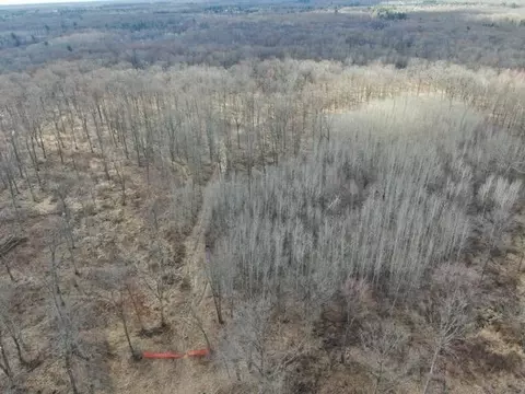 75 Ac Maple Rd, Granton, WI 54436
