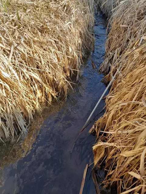 Approx 9 Acres Highway 35/61, Bloomington, WI 53804