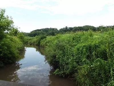 51 Acres Cth 0 Rd, Mineral Point, WI 53565