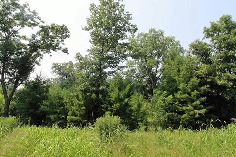 lot19 Timber Trl, Spring Green, WI 53588