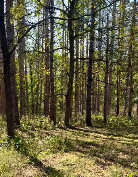 63 Acres Blue Mounds Trl, Black Earth, WI 53515
