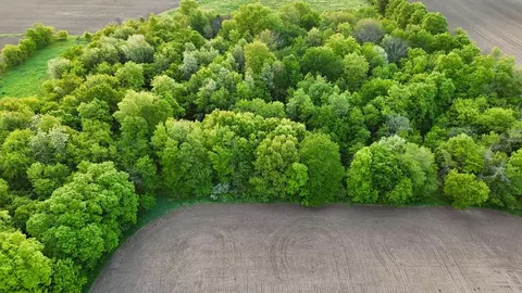 000 Big Horn Ave, Poy Sippi, WI 54967