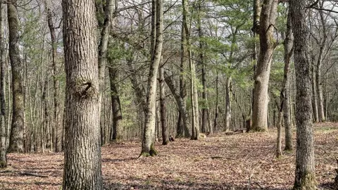25 66 Acres 51st St, Mauston, WI 53948