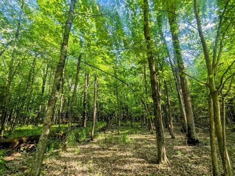 0 S Badger Ln, Arkdale, WI 54613