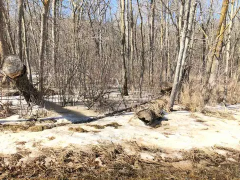 20 Acres Carpenter Rd, Mauston, WI 53948