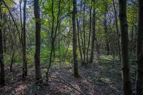 lot4 20th St, Necedah, WI 54646