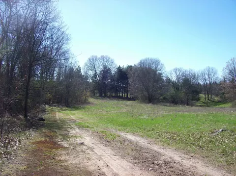 Highway 73, Wautoma, WI 54982