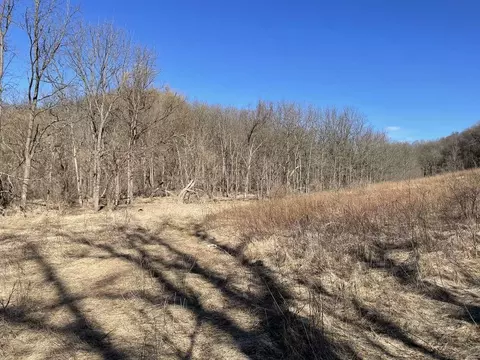 36 Ac Walnut Ln, Hillpoint, WI 53937