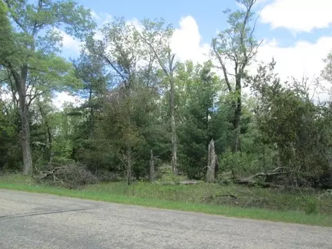 Edgewood Avenue, Adams, WI 53910