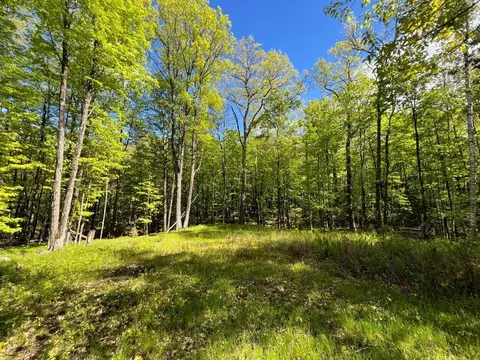 19 95 Acres Old Elcho Rd, Other, WI 54463
