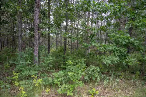 n8275 Woodland Trail, New Lisbon, WI 53950