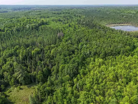 121 49 Acres Forest Road 602, Butternut, WI 54514