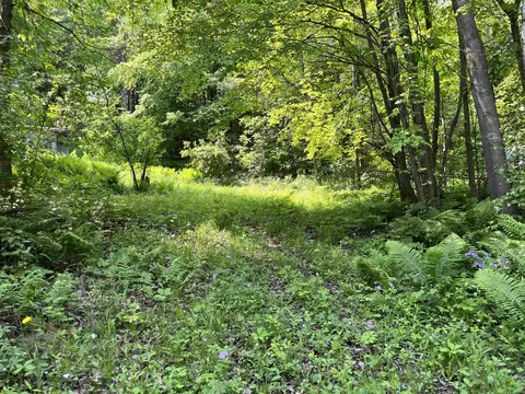 w9539 Jacobson Road, New Lisbon, WI 53950