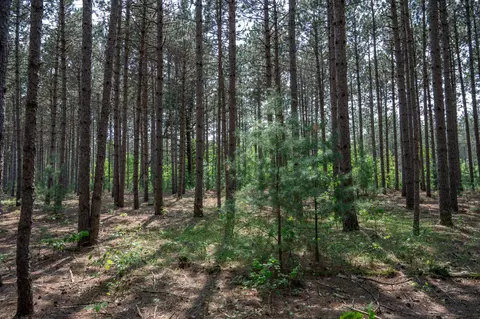 w4250 Mays Point Road, Necedah, WI 54646