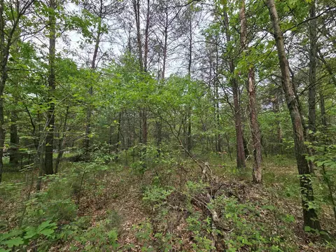 lot1 16th Ave, Necedah, WI 54646