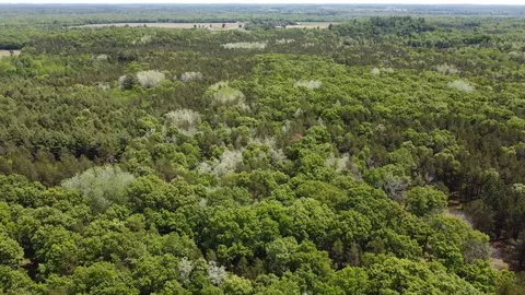 lot38 Nina Dr, Lyndon Station, WI 53944
