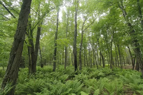lot1 Csm 2309 Deer Run, Montello, WI 53949