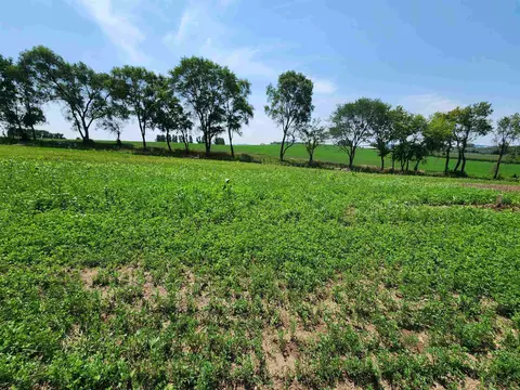 1206 Moll Dr, Waunakee, WI 53597