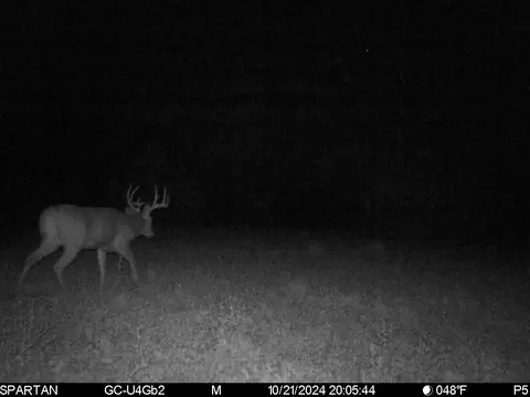 80 Ml Acres Jordan Rd, Waterloo, WI 53594 photo 73