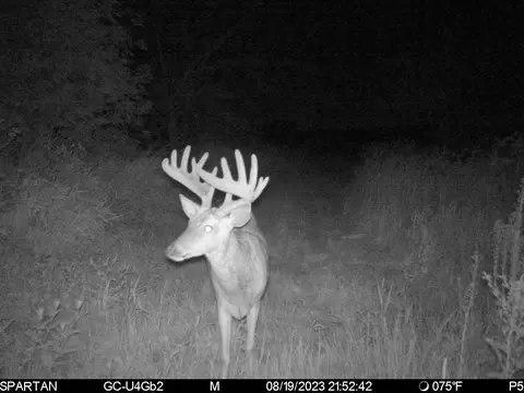 80 Ml Acres Jordan Rd, Waterloo, WI 53594 photo 78